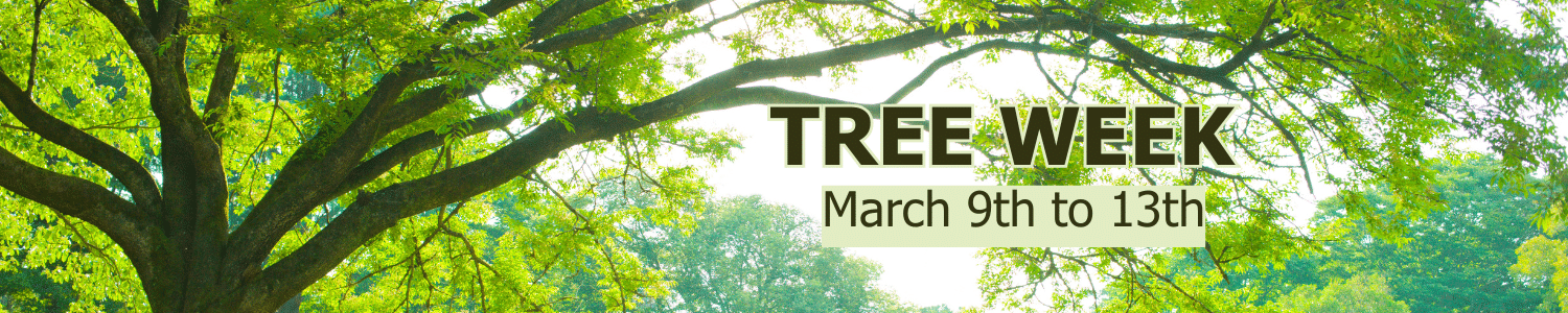 National Tree Week 2026 | Green-Schools