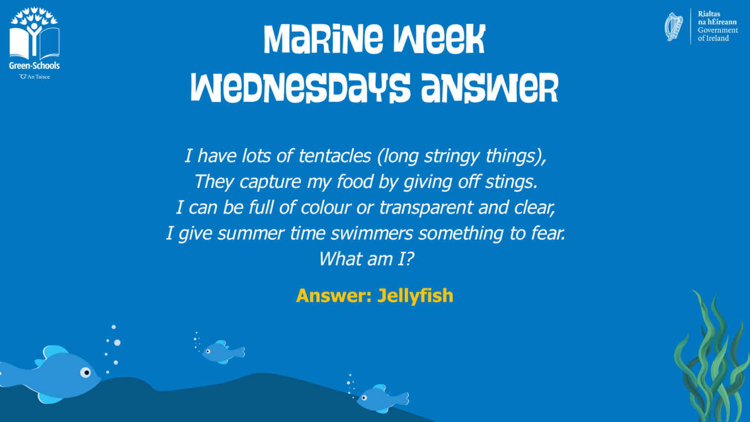 Wednesday Riddles With Answers Welcome to Marine Week 2026 | Green-Schools