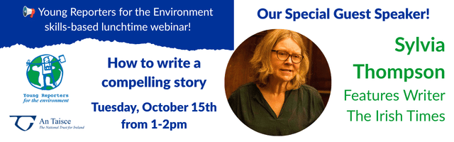 Graphic promoting Sylvia Thompson's webinar for YRE on October 15, 2026